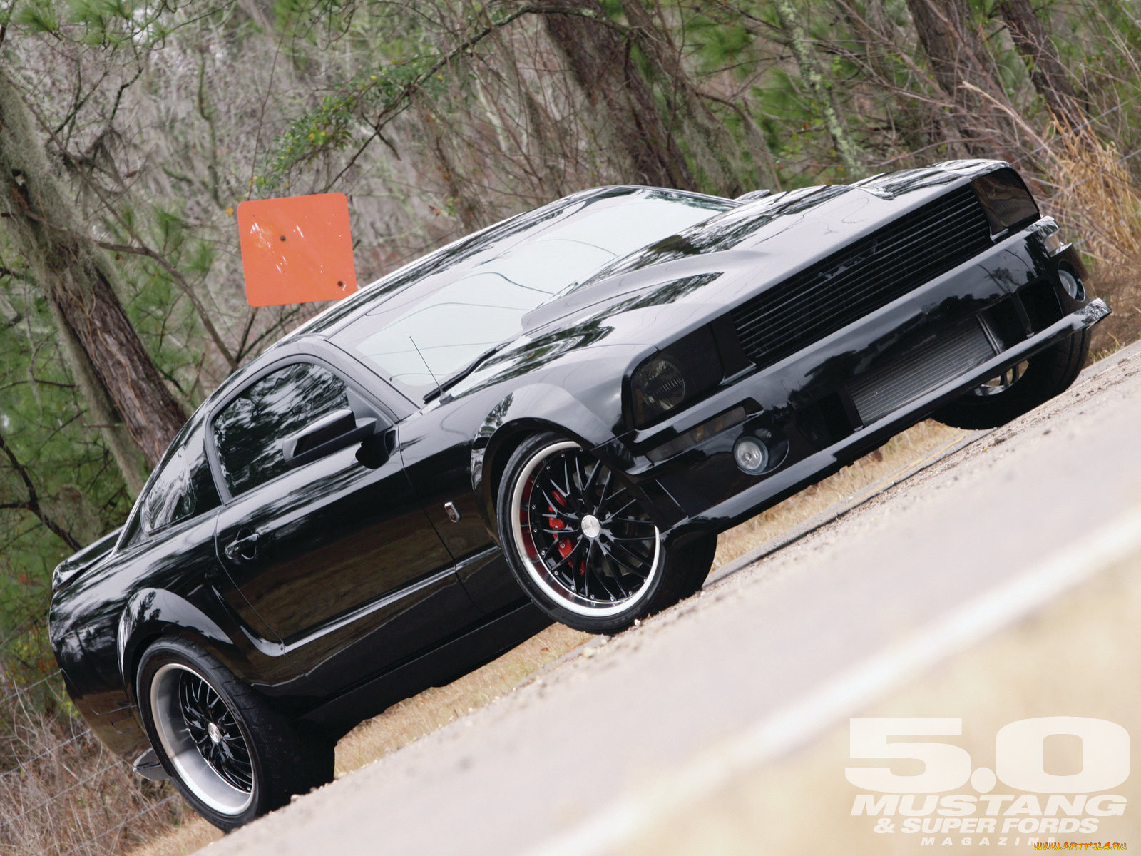 Ford Mustang 2006 Tuning